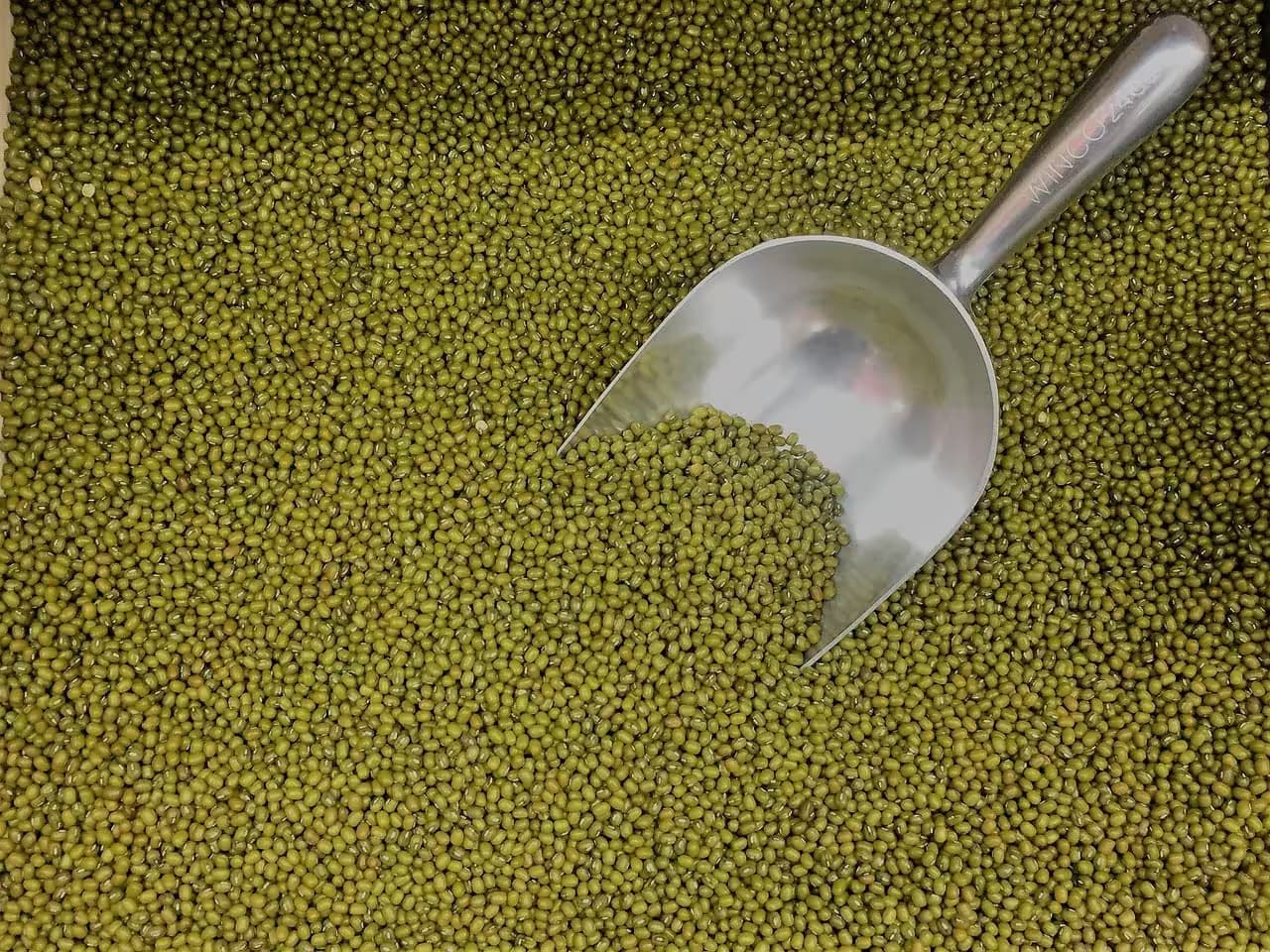Moong Beans